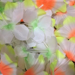 Meet your Posher, Madeleine